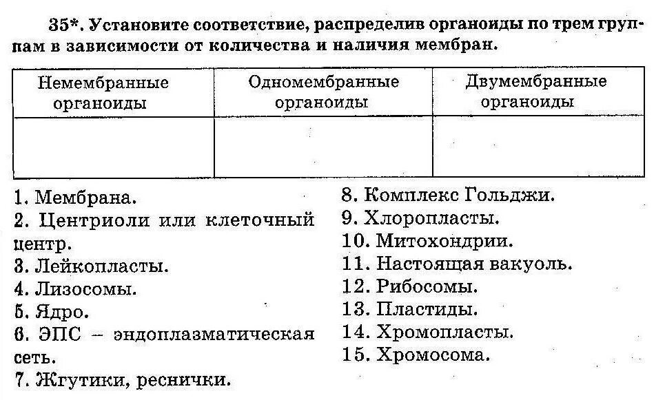 Установите соответствие распределив слова по группам. Двумембранные органоиды клетки. Распределите органоиды по количеству мембран. Установите соответствие между органоидами клетки и их функциями. Распределите параметры по группам.