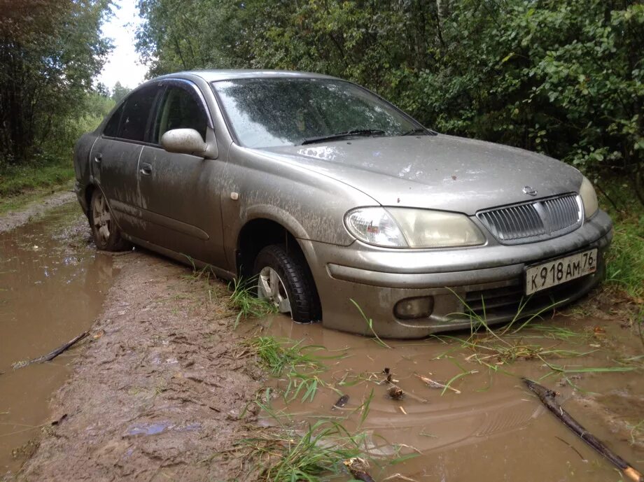 Nissan Bluebird Sylphy g10. Nissan Bluebird Sylphy, 2000 год. Ниссан Блюберд Силфи на полном приводе. Ниссан Блюберд полный привод 2000. Ниссан блюберд силфи 2000 год