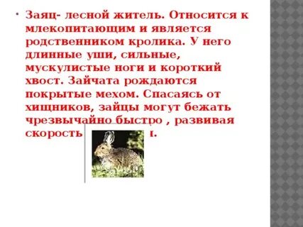 Зайцы относятся к животным