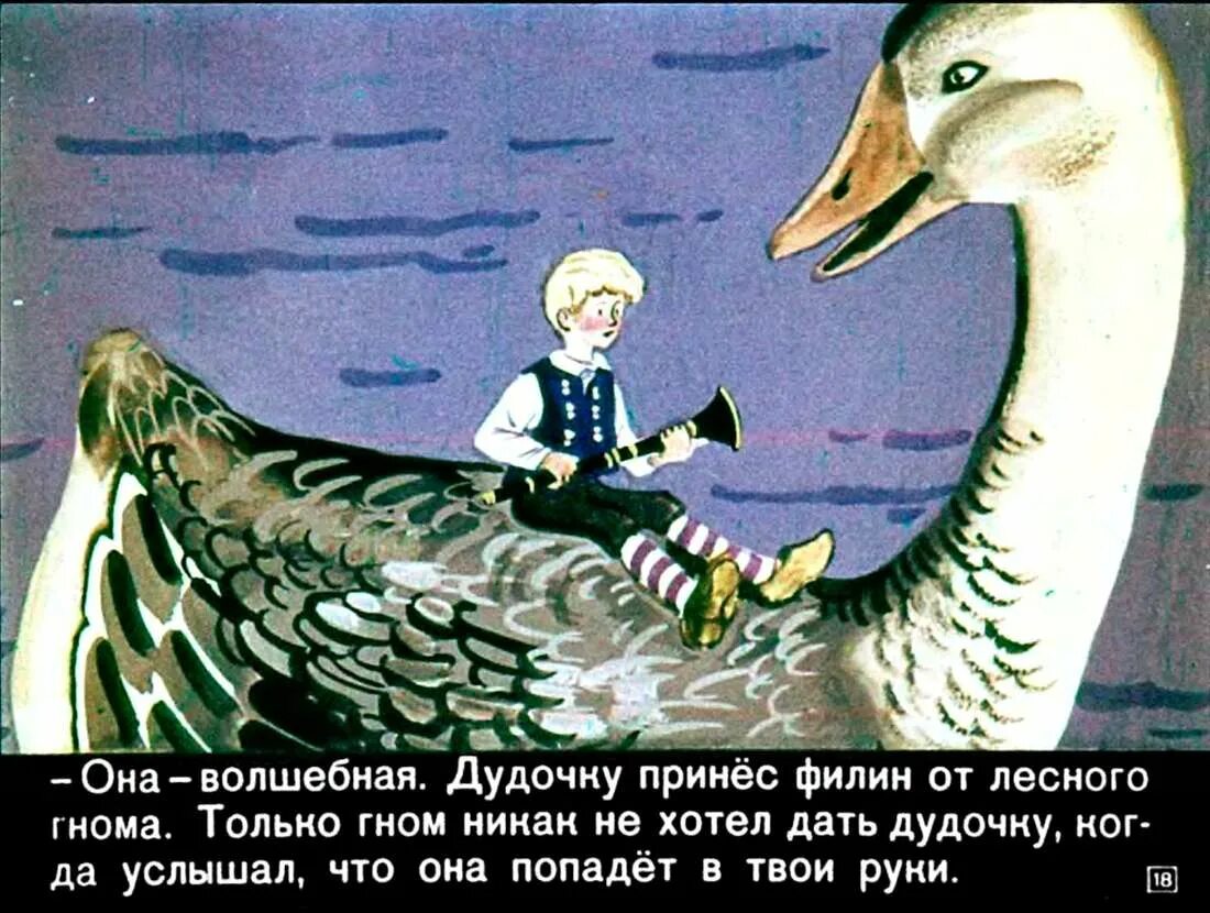 Чудесное путешествие нильса с дикими главы. Чудесное приключение Нильса с дикими гусями. Путешествие Нильса с дикими гусями кадры. Чудесное путешествие с дикими гусями. Путешествие Нильса с гусями.