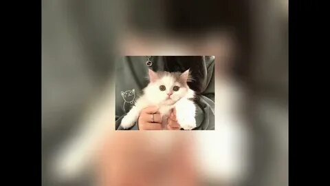 Девочка тренде топ я видела