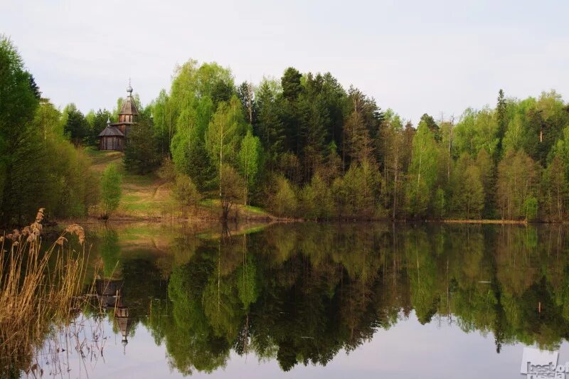 Озеро светлояр китеж. Семенов и озеро светлояр. Светлоярское озеро нижегородская область. Владимирское нижегородская область светлояр. Озеро светлояр китеж.