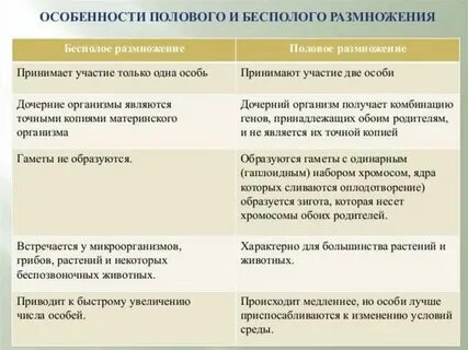 Преимущества полового и бесполого