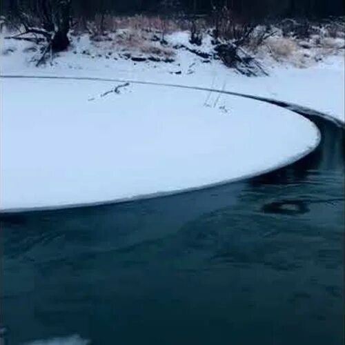 Реки были замечены изменения. Ледяные круги на реках. Ледяные круги на реках природное явление. Замерзший круги на реке. Белые круги на реке.