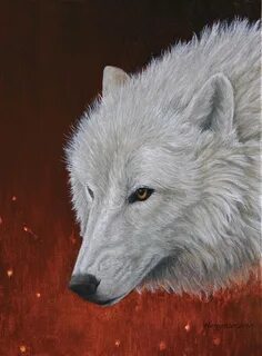 White wolf отзывы