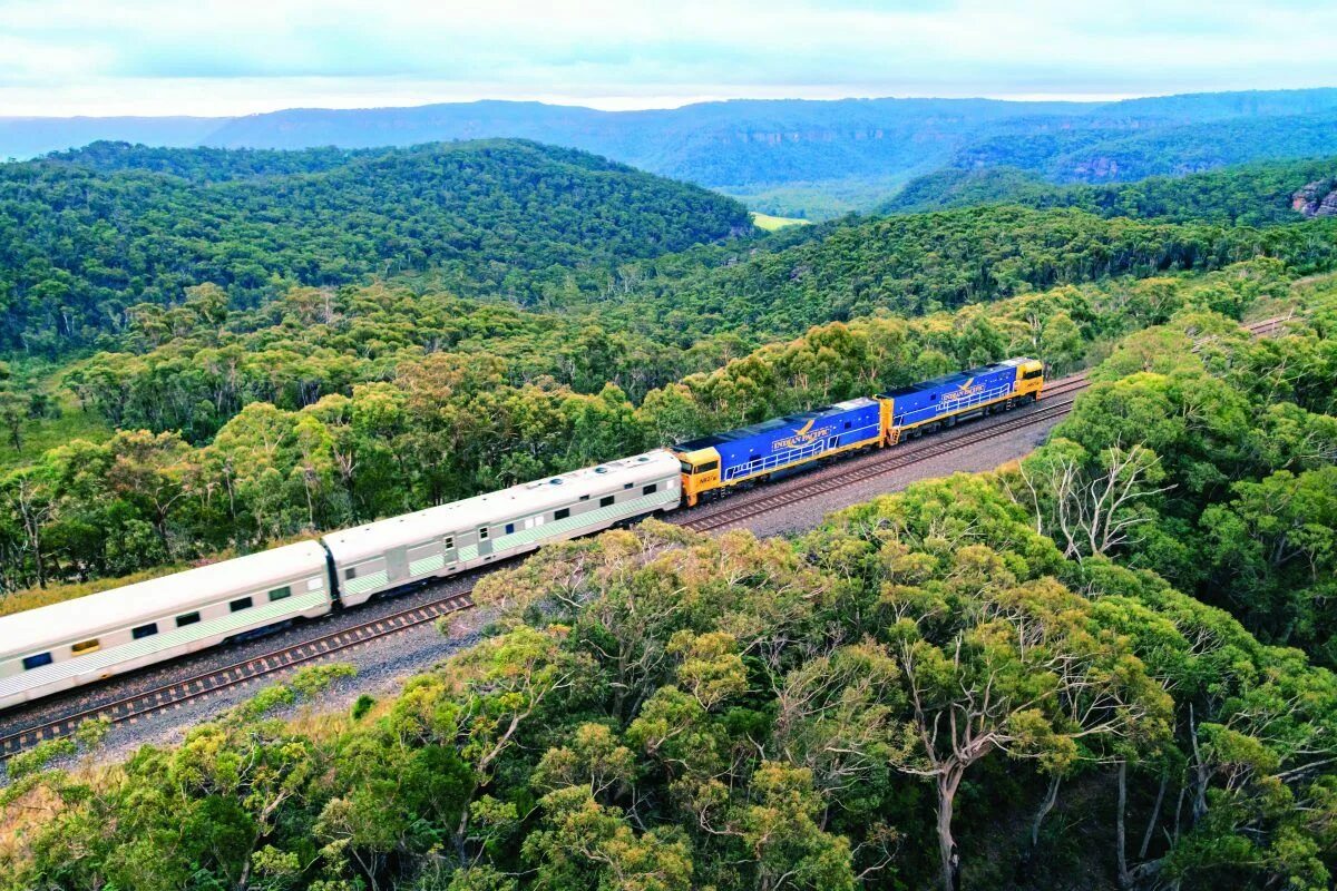 Индиан Пасифик. Голубые горы Train. Indian Pacific поезд. Australia indian Pacific Railway. Long train journey