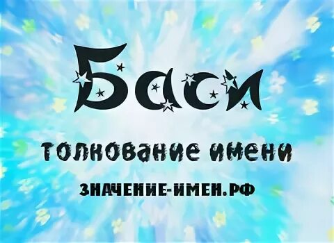 бася полное имя. бося собачка. бася овчарка. бася пес. бася пресникова собака.