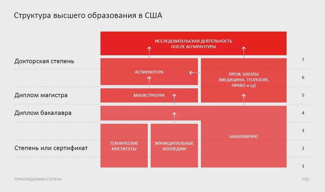 Какая структура выше. Структура образования в США схема. Система высшего образования в США схема. Система образования в Америке схема. Структура образования в США таблица.