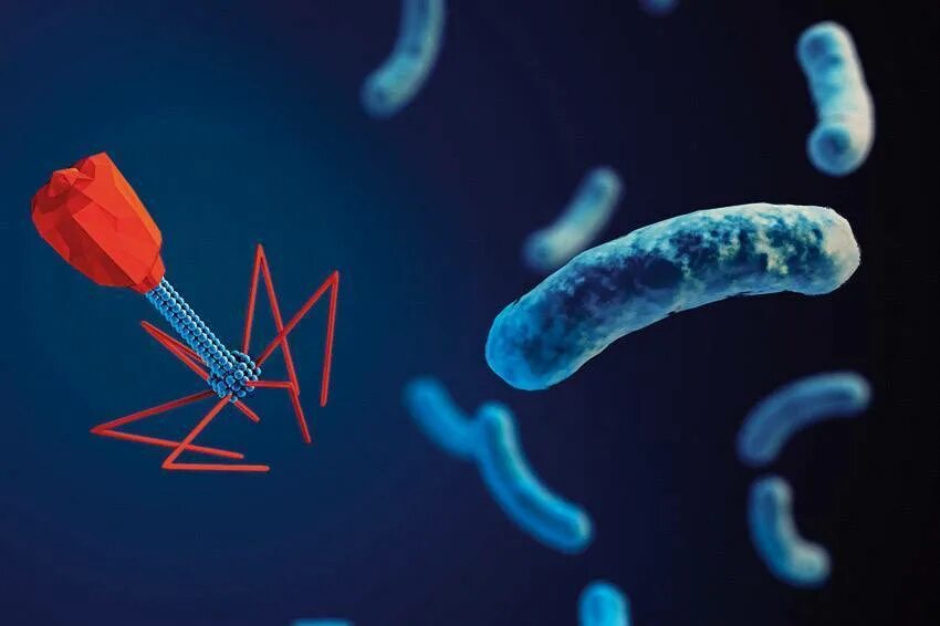 Листерии моноцитогенес. И т д бактерии в. Бактерия listeria monocytogenes. Возбудитель листериоза микробиология. Зеленые бактерии.