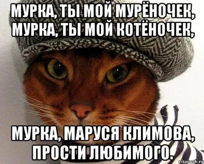 Песню кошка мурка