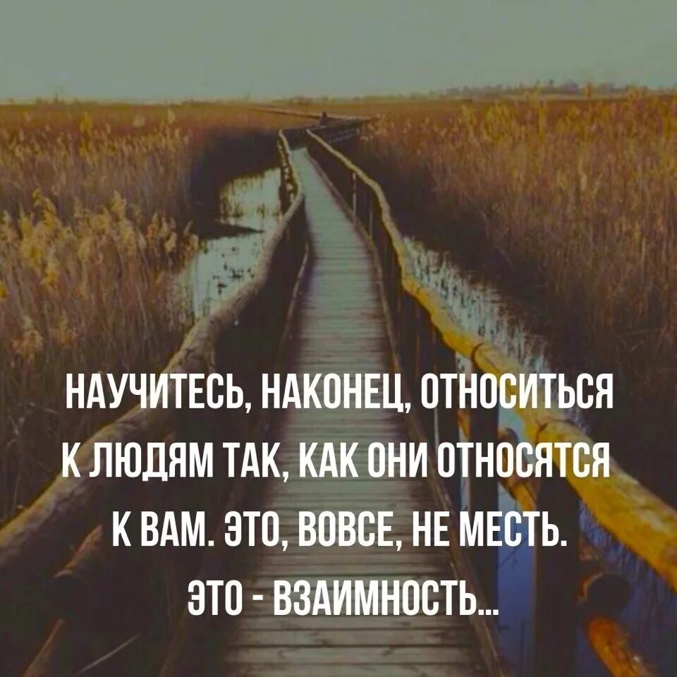 Никогда не относитесь к человеку. Как нужногтеоситься к людям. Научись относиться к людям. Цитаты относись к людям. Относитесь к людям.