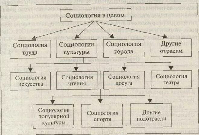 Социология интересов. Социология схемы. отрасли социологии. социология в целом. социология культуры.