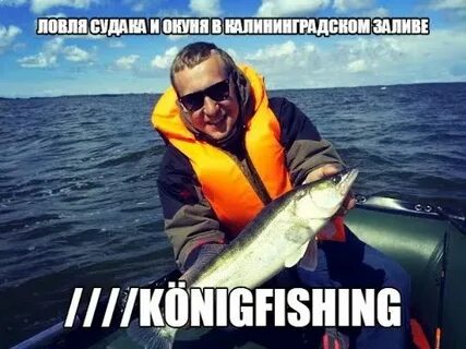 Кениг фишинг