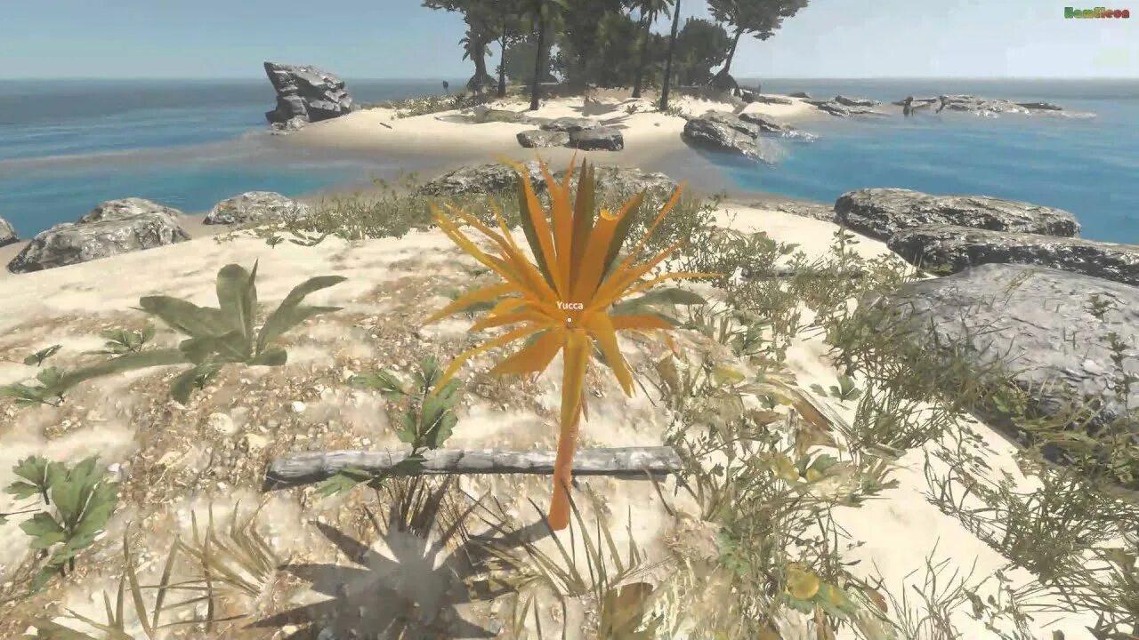 Stranded deep пк. Stranded deep острова. stranded deep системные требования. юкки страндед дип.