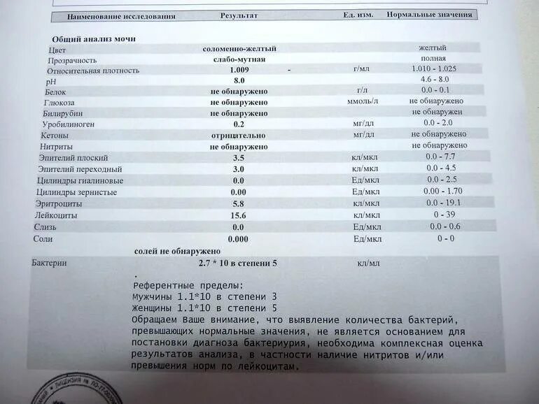 Моча ребенок лейкоциты эритроциты повышенные