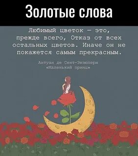 Я цветы полюбил чтоб