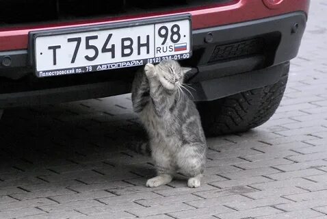 Снимим