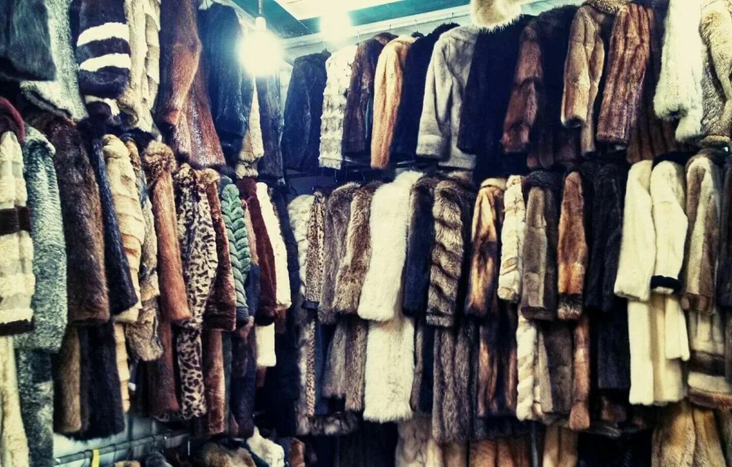 Много шуб. Меховая промышленность. Меховые изделия. Меховая промышленность. Комиссионный магазин меховых изделий.