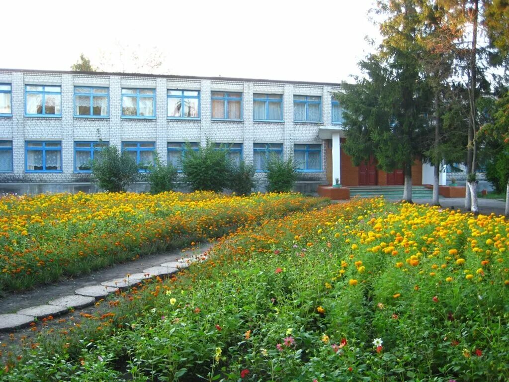 школа пробуждение энгельс. школа тишино багратионовский район. адрес школы в поселке. адрес школы в поселке. артинская школа 1.