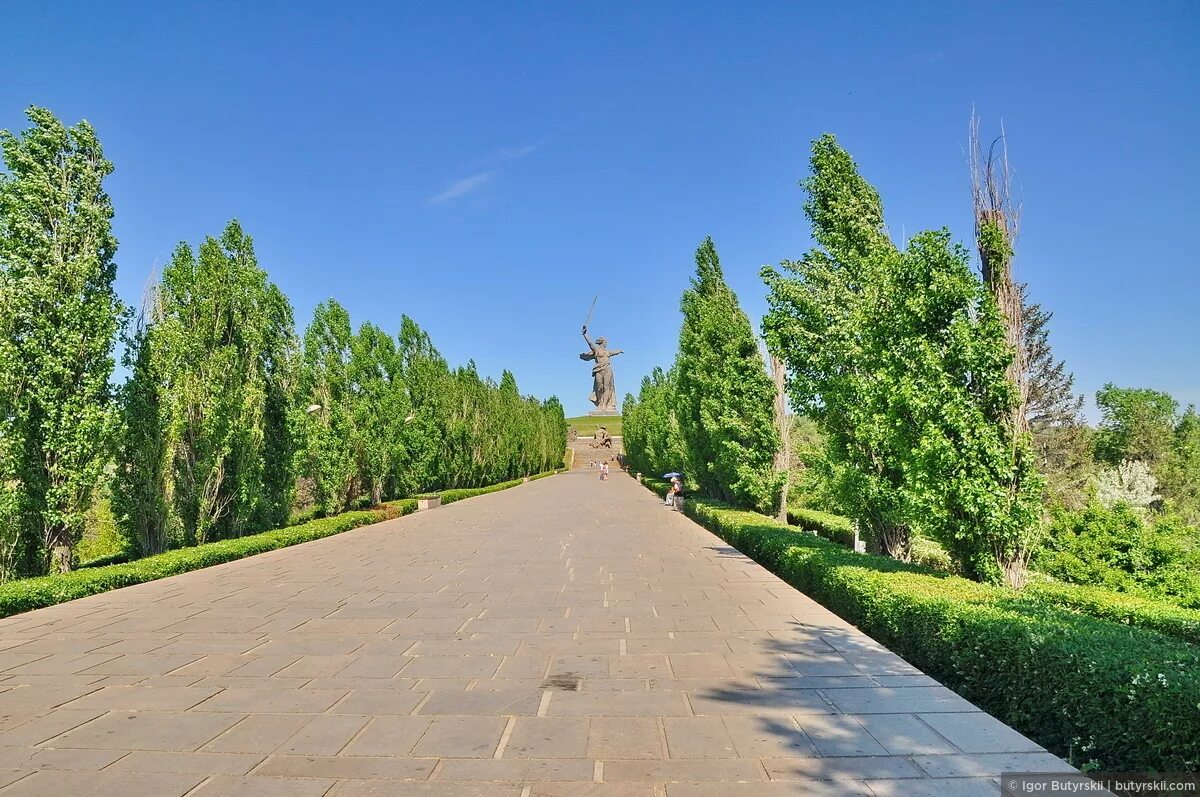 гагаринская аллея в питере. тополиная аллея в москве. мацеста аллея челтенхема. садово-парковый ландшафт «есенинская аллея» вооонеж. южная аллея санкт петербург.