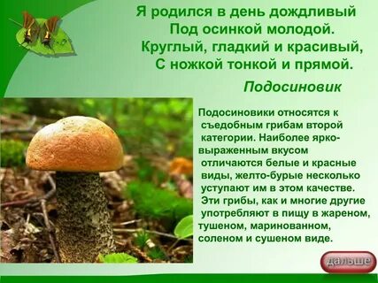 Познавательный текст про подосиновик 2