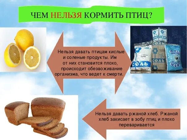 Можно кормить птиц белым хлебом зимой. Чем нельзя кормить птиц. что нельзя давать птицам. чем нельзя кормить птиц зимой. чем нельзя кормить зимующих птиц.