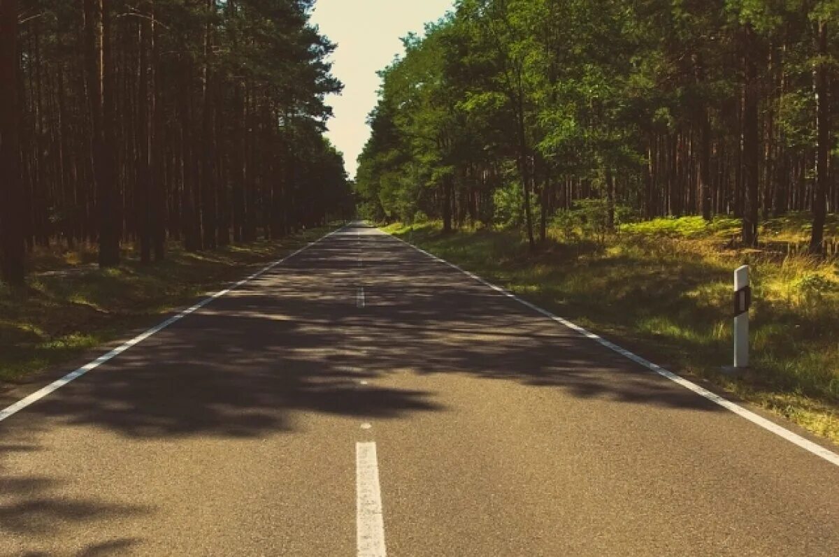 Лучшее решение для дороги. Дорога асфальт лес. Фон дорога. Дорога в лесу. Пустая дорога в лесу.