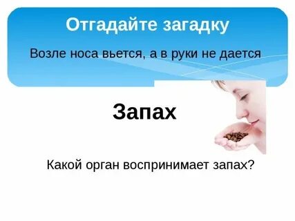 Загадка около