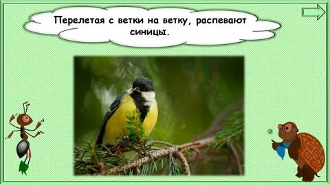 Порхает с ветки на ветку