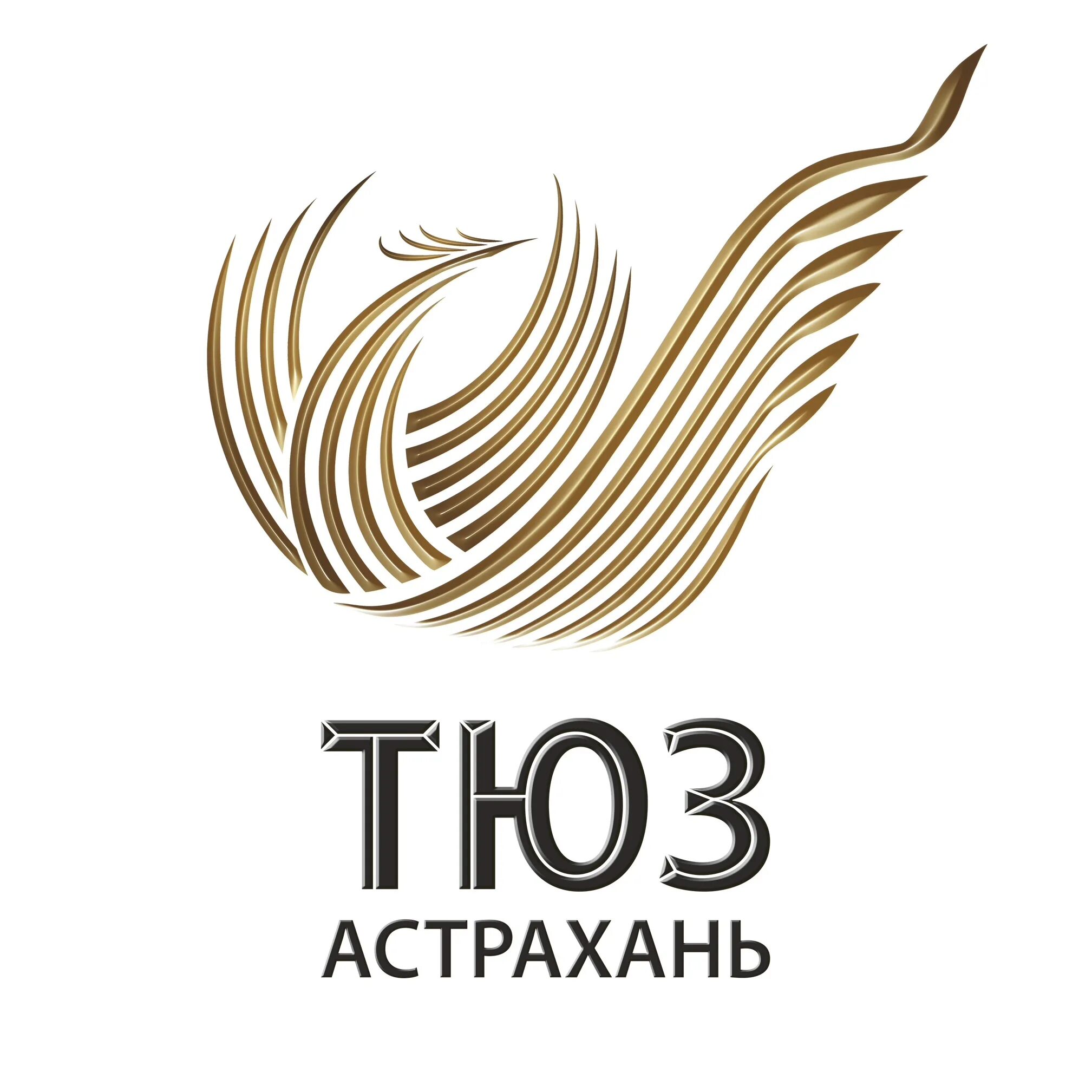 Туполев ту-22м3. Бомбардировщик ту-22м3. Monoir eneli 3 to 1. Ту-22м3 сверхзвуковой самолёт. Логотип jmonkey.