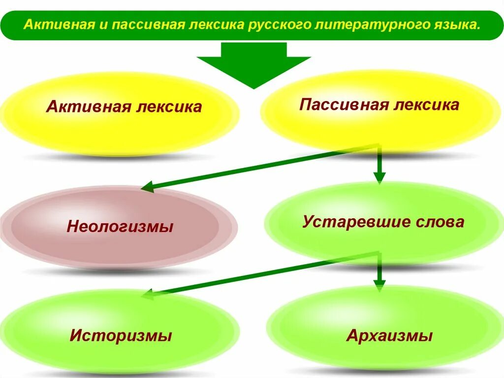 Слова активна лексика. Активная и пассивная лексика. Активная и пассивная лексика русского языка. Пассивная лексика русского языка это. Активная лексика примеры.