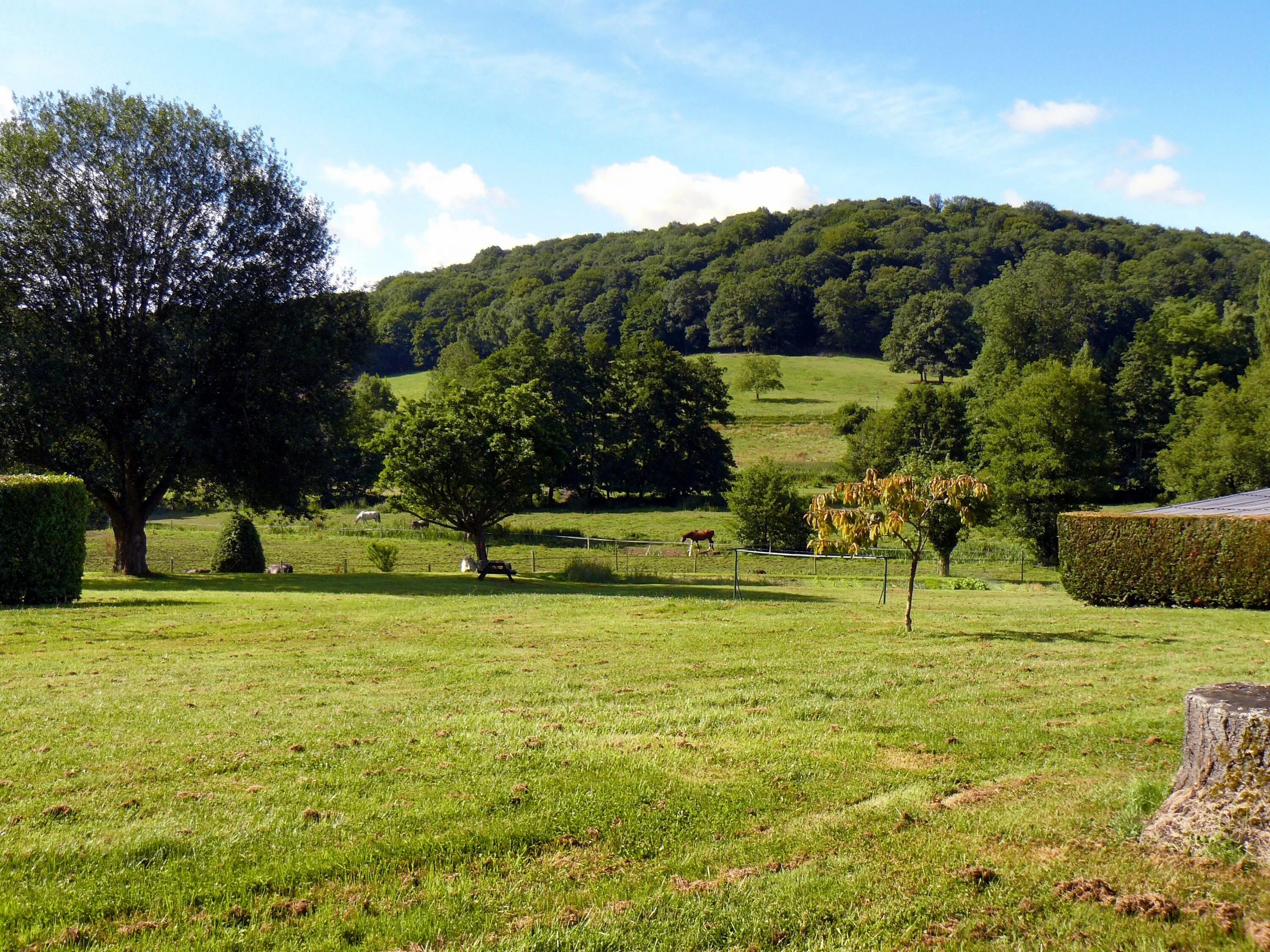 Countryside гайд. Ньельский лес Франция. Лес калистинс Франция. Овернь Франция леса. Леса Ланды Франция.