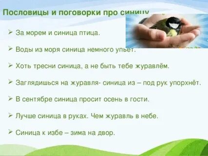 Птица умеющая писать пословица