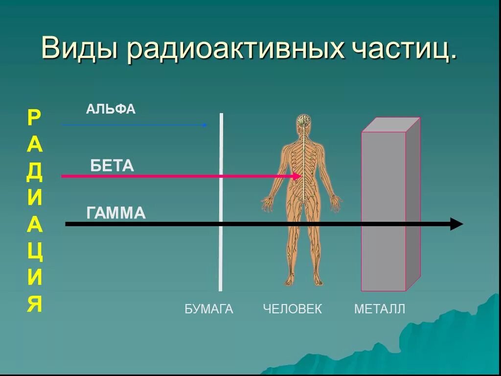 Радиационное излучение Альфа бета гамма. Ионизирующее излучение (проникающая радиация). Виды радиоактивных излучений Альфа бета гамма. Гамма облучение человека.