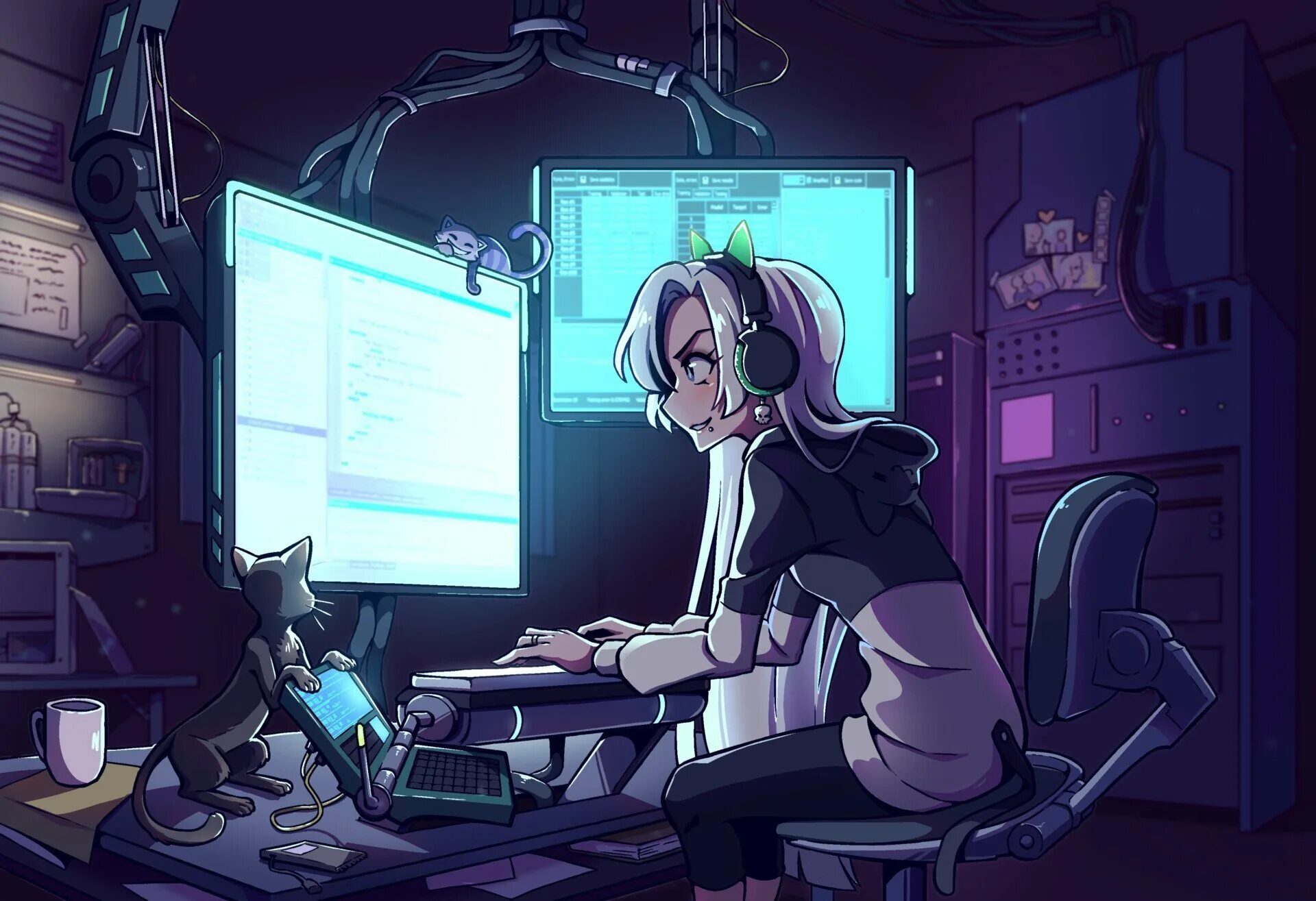 Cyberhacker schoolboy runaway