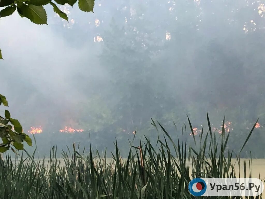 Райский берег пожар. Райский берег пожар