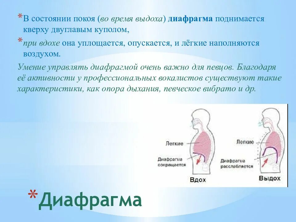 Во время выдоха