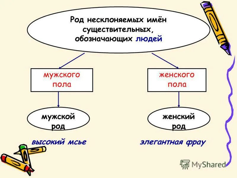 Несклоняемые имена прилагательные. Несклоняемые имена прилагательные