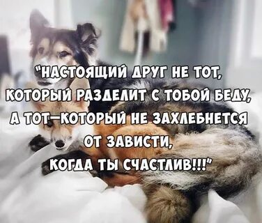 Красивые цитаты друг