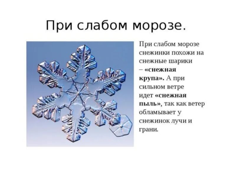 Снежинки. На что похожи снежинки. Сколько лучей у снежинки. Лучи снежинки.