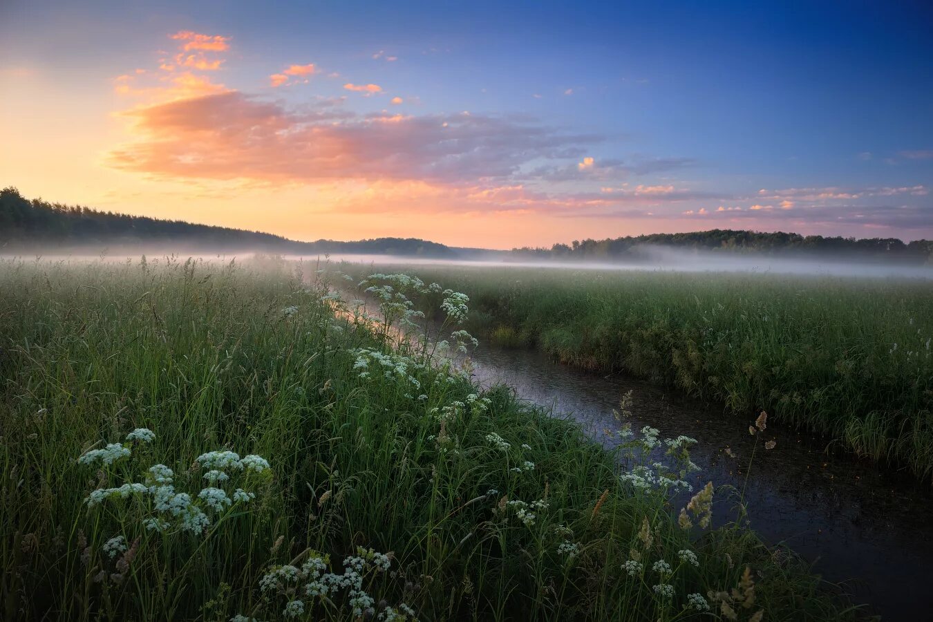 Какое будет лето в беларуси. Белоруссия природа. Беларусь пейзажи природа. Летний рассвет. Белорусский пейзаж.