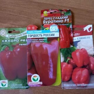 Перец буратино