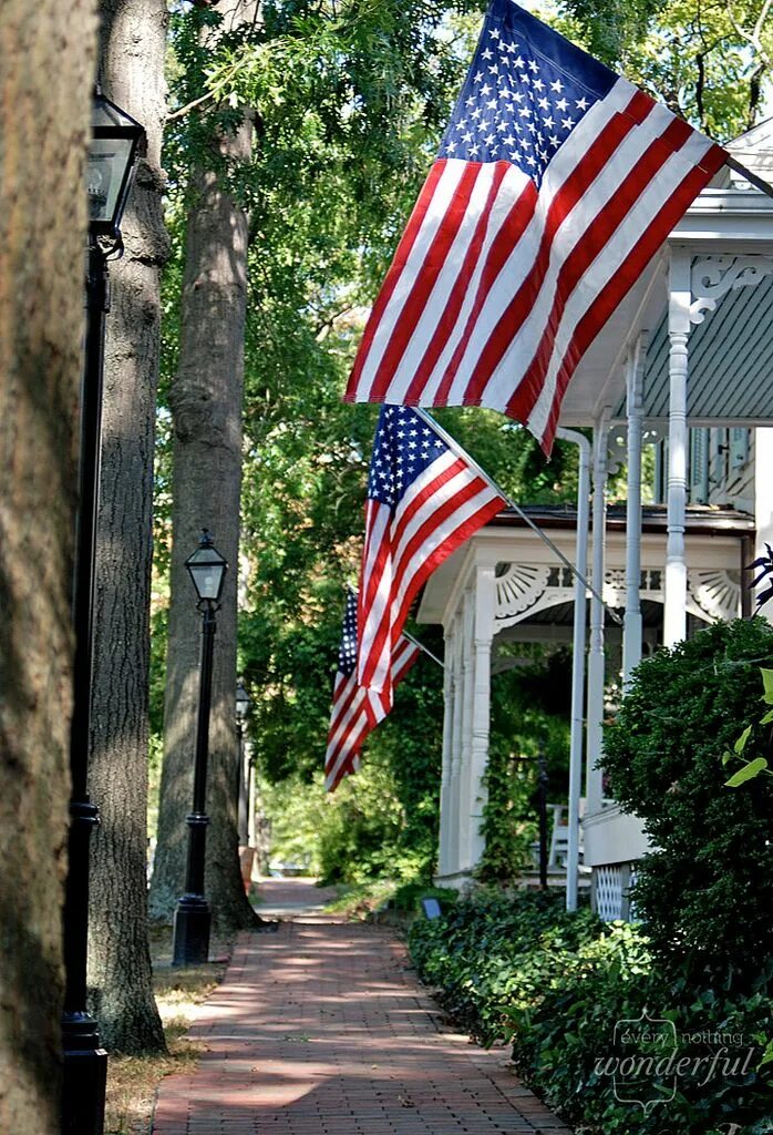 America is beautiful. Флаг США. Дом с американским флагом. Домик в США С флагом. Флаг США на доме.