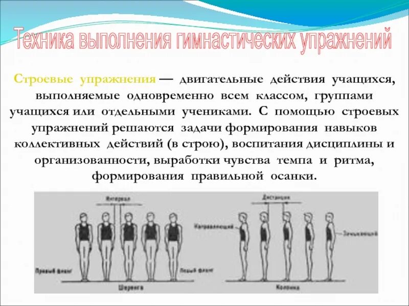 Строевые упражнения. Техника выполнения гимнастических упражнений. Гимнастические строевые упражнения. Строевые приемы физкультура. Методика строевых упражнений