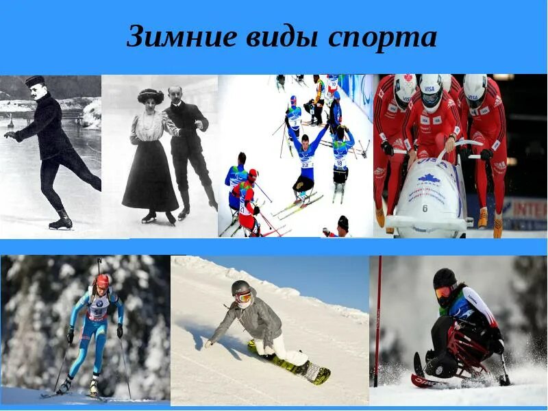 Какие бывают зимние виды