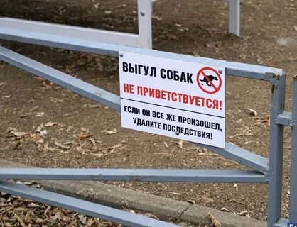 Коап выгул