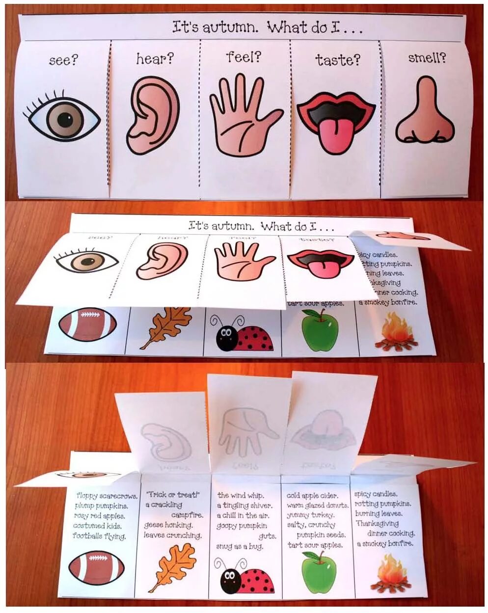 5 Senses for Kids. Лэпбук ощущений. Лэпбук органы чувств. Поделка пять чувств. See hear feel