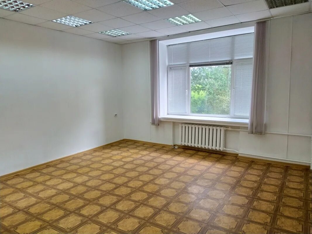 Улица дьяконова 9 великие луки. Помещение 50 кв метров. Воскресенский бульвар 5 великий новгород. Большая московская 84/1 великий новгород. Великий новгород снять торговое помещение.