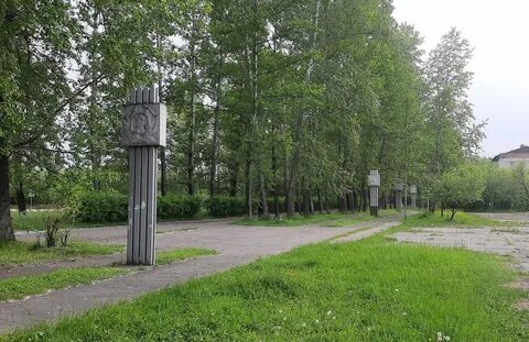 Привожу в город