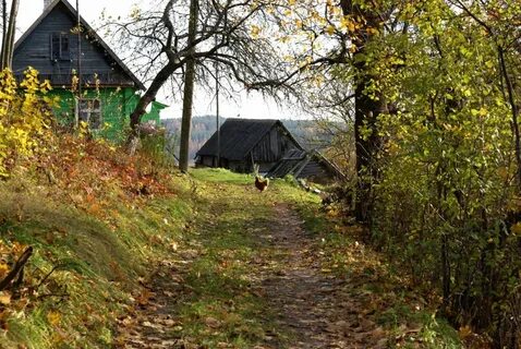 Село двор